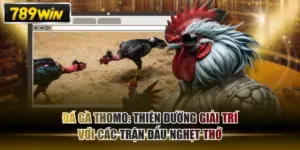 Đá Gà Thomo: Thiên Đường Giải Trí Với Các Trận Đấu Nghẹt Thở